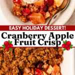 Cranberry Apple Crisp Pin