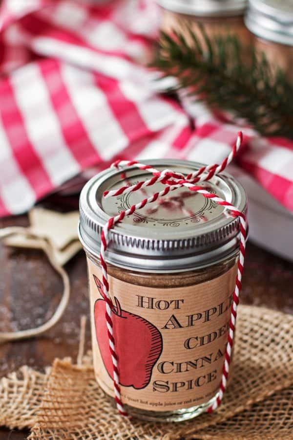 Hot Apple Cider Cinnamon Spice Mix - Easy Diy Holiday Gift