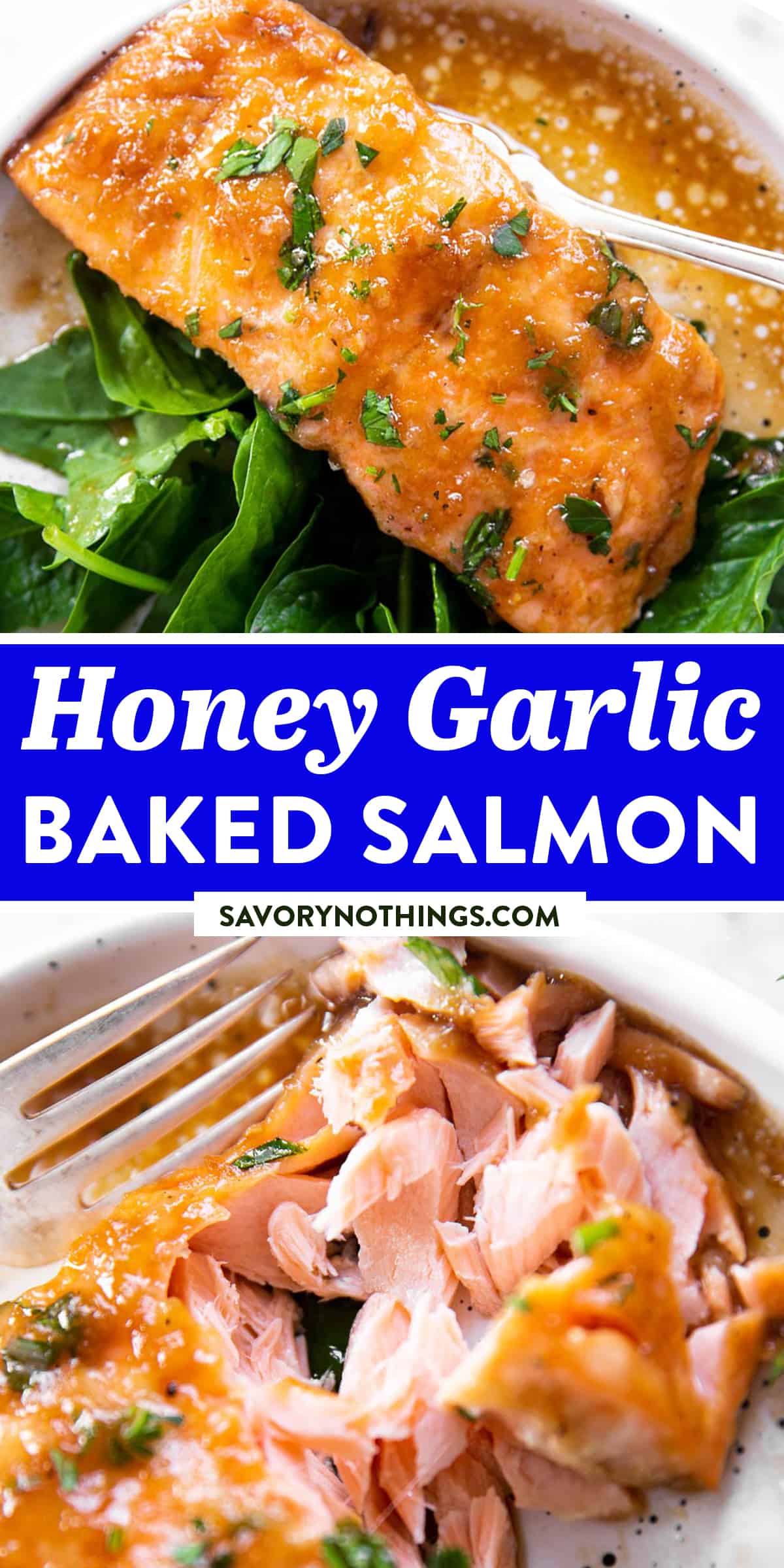 Honey Garlic Salmon Baked in Foil | Savory Nothings