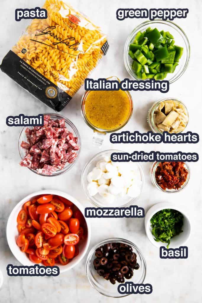 Easy Italian Pasta Salad Recipe - Savory Nothings