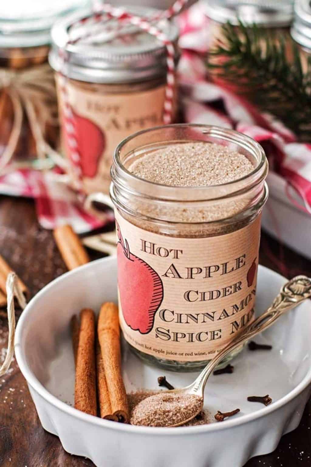 Hot Apple Cider Cinnamon Spice Mix - Easy DIY Holiday Gift