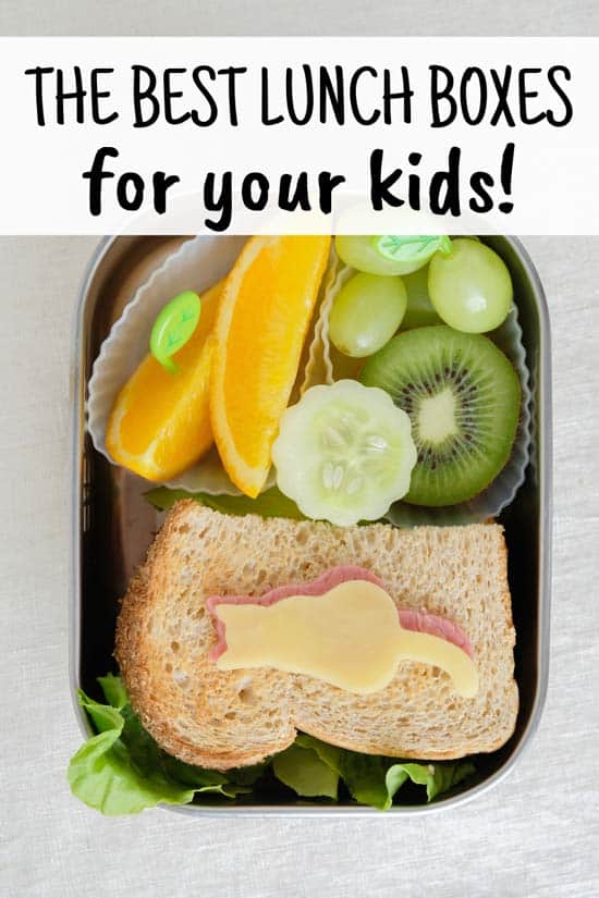 These are the BEST Kids Lunch Boxes for School! - Savory Nothings