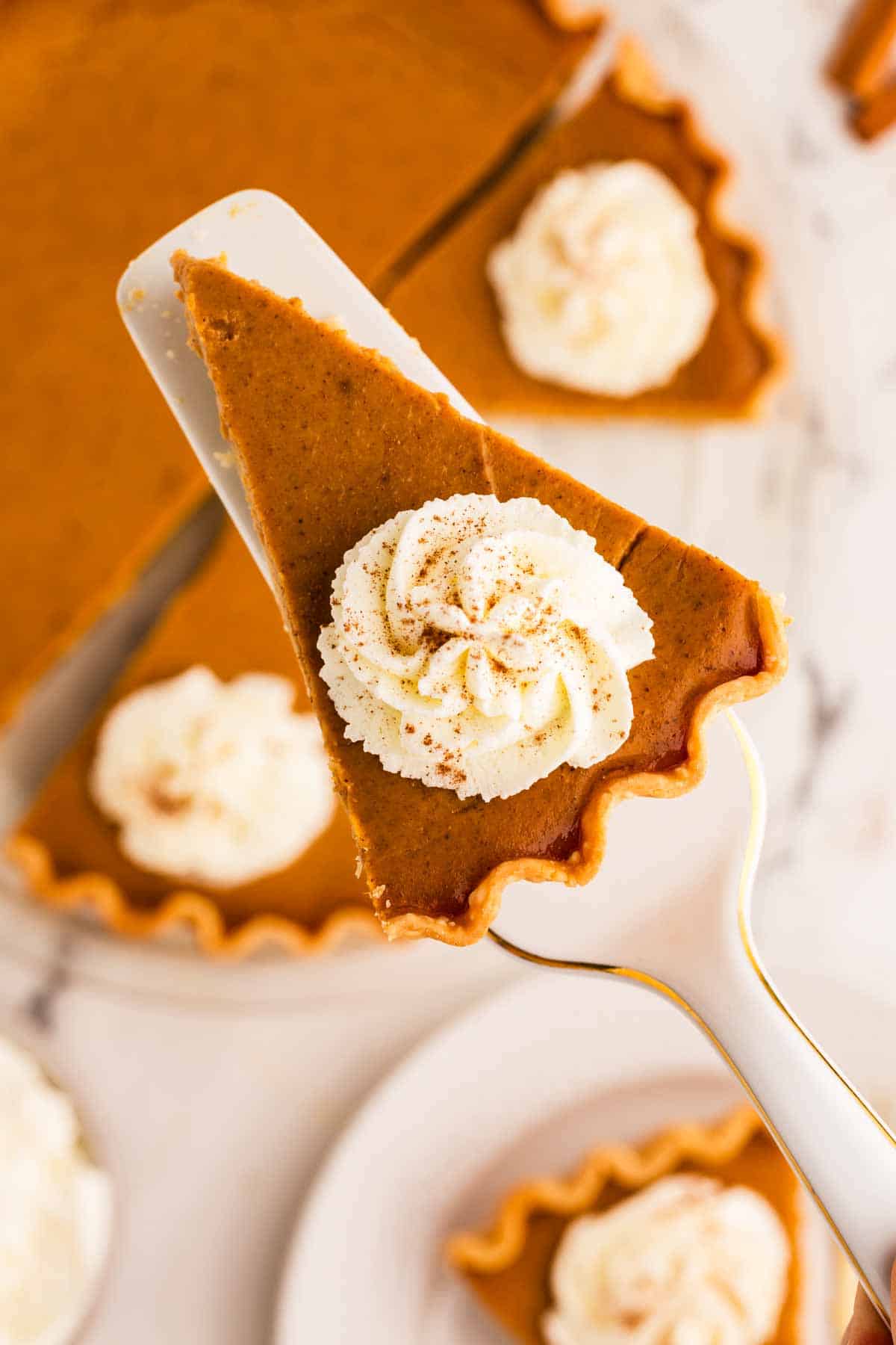 overhead view of pumpkin pie slice on cake server