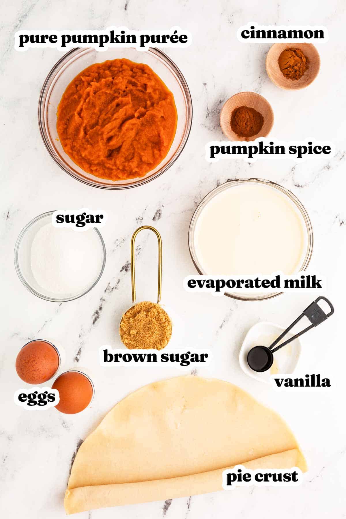 overhead view of ingredients for pumpkin pie with text labels