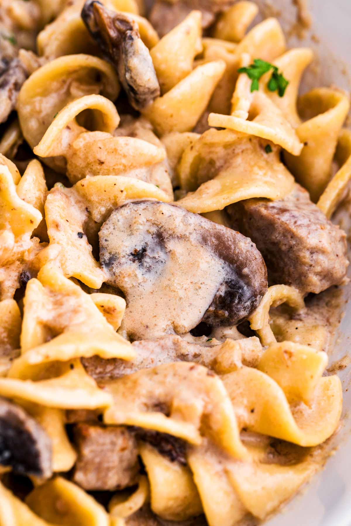 close up photo of beef stroganoff sauce and noodles