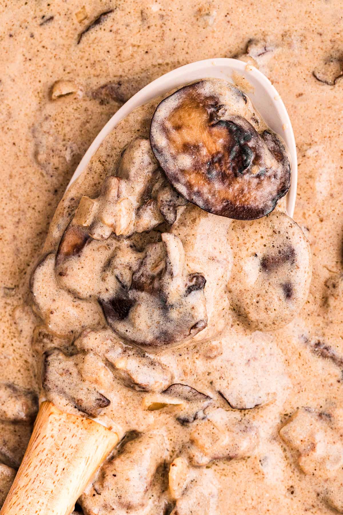 overhead close up view of stroganoff on spoon