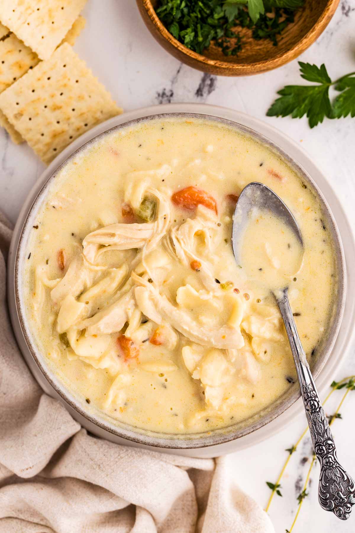 overhead view of chicken noodle soup in bowl surrounded by crackers