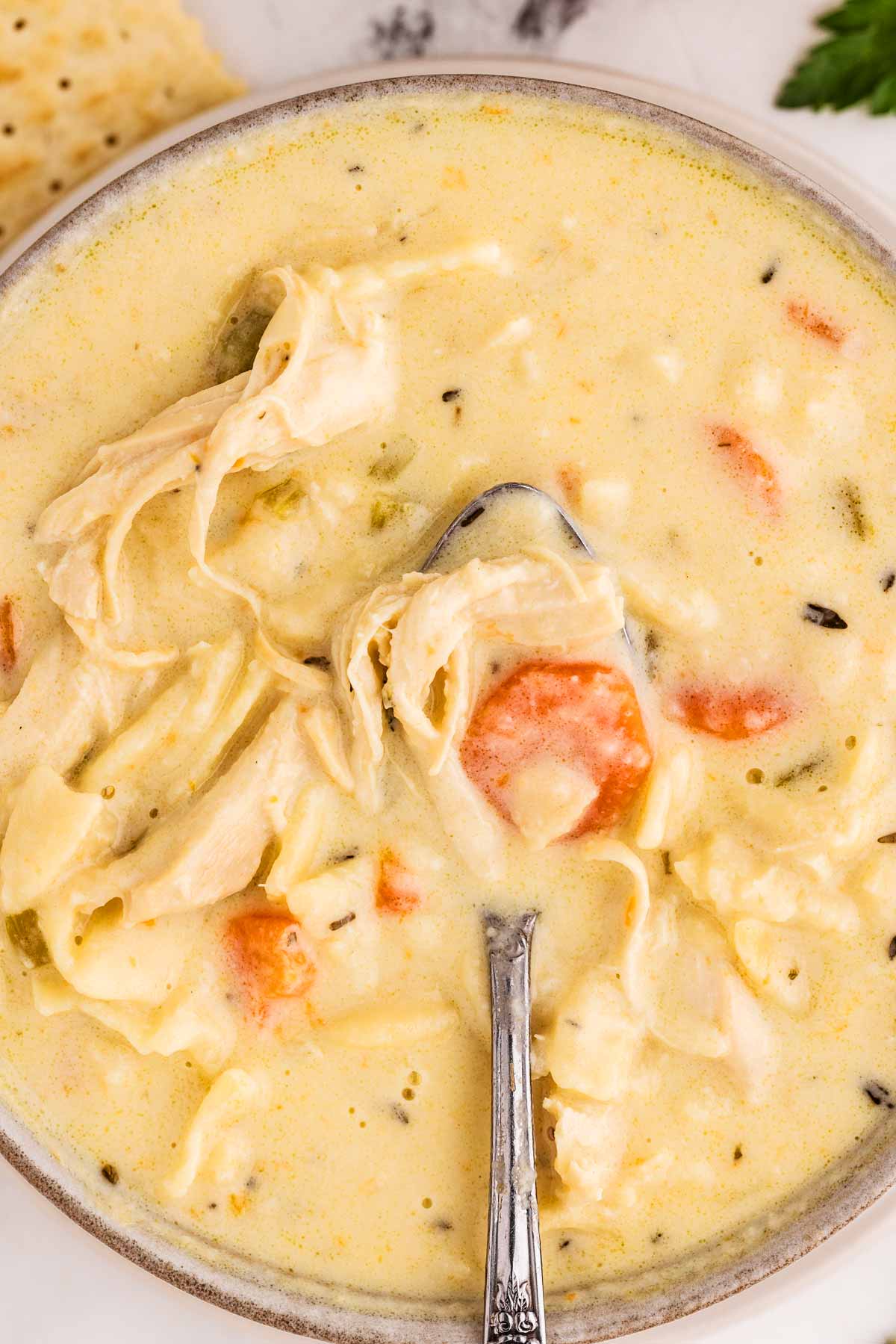 overhead view of creamy chicken noodle soup in a bowl with a spoon