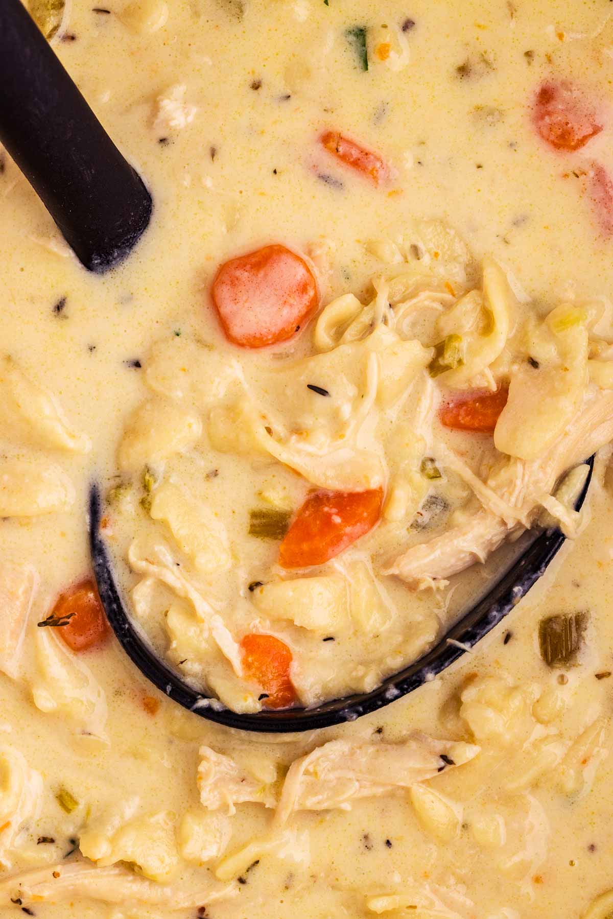 close-up of creamy chicken noodle soup in a ladle