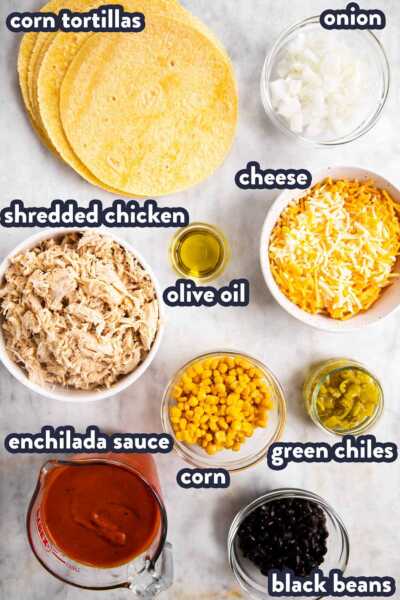 Easy Chicken Enchiladas Recipe - Savory Nothings