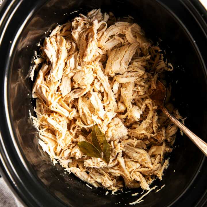 Quick and Easy Chicken Recipes - Savory Nothings