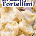 Creamy Tortellini Pin