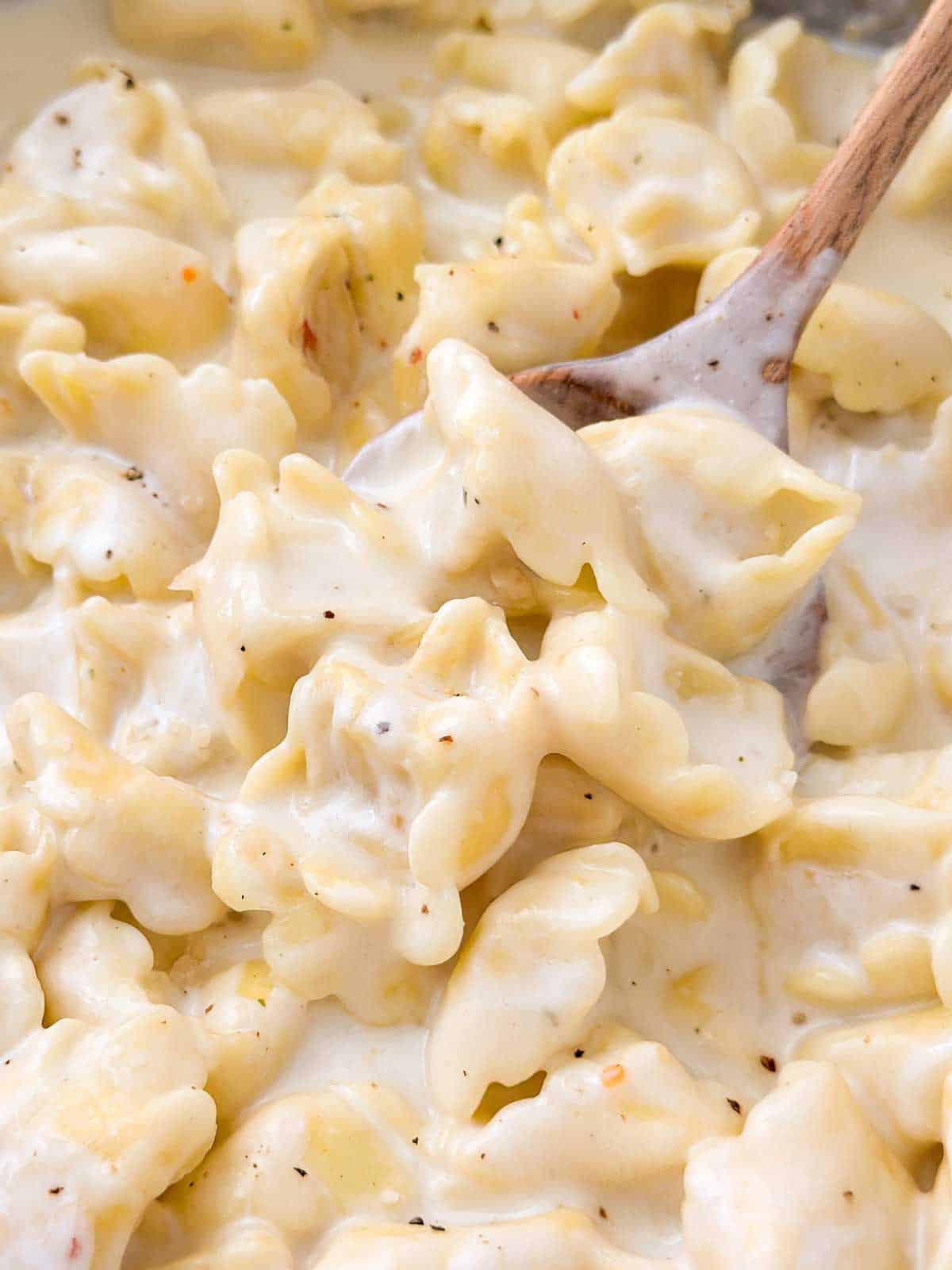 close up view of wooden spoon scooping creamy cheese tortellini from pan