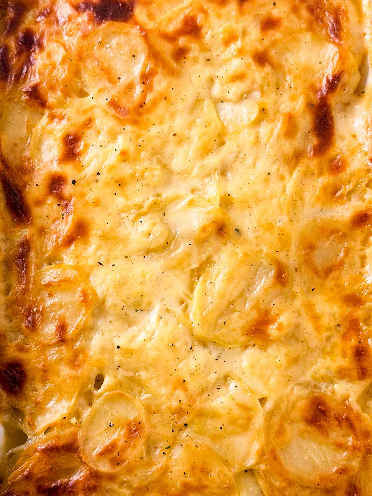 overhead closeup view of scalloped potatoes