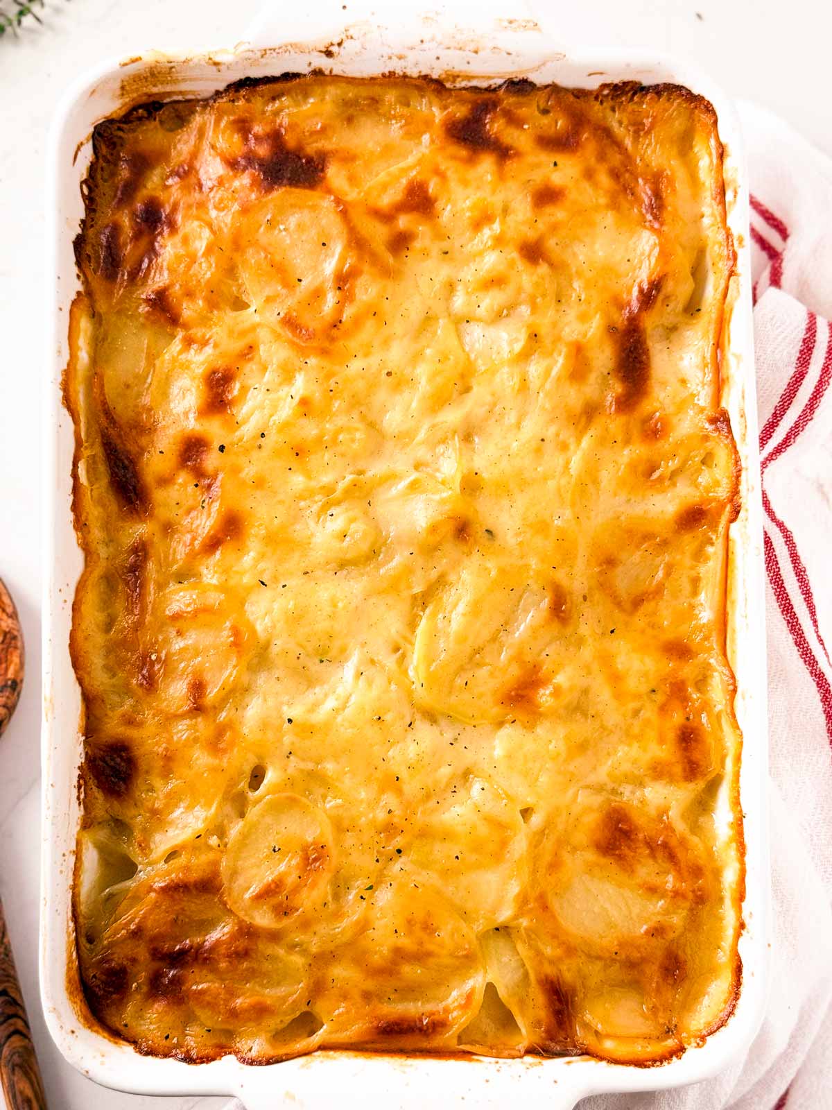 overhead view of baked scalloped potatoes in white casserole dish