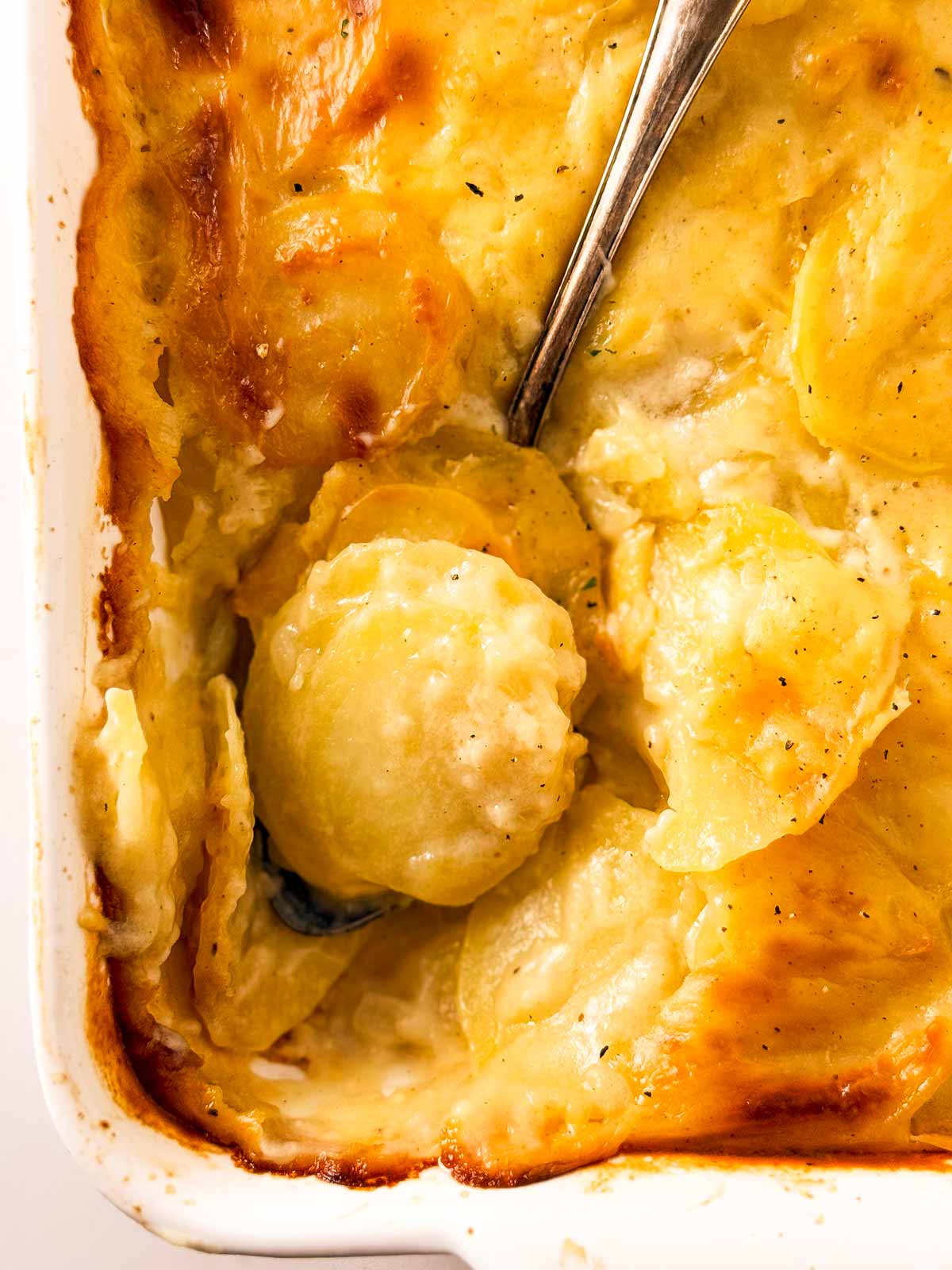 overhead view of spoon stuck in casserole dish of scalloped potatoes