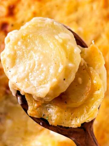 overhead closeup view of scalloped potatoes on a wooden spoon