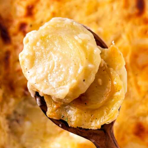 overhead closeup view of scalloped potatoes on a wooden spoon