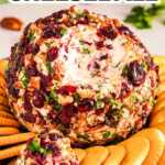 Cranberry Pecan Cheeseball Recipe Image Pin