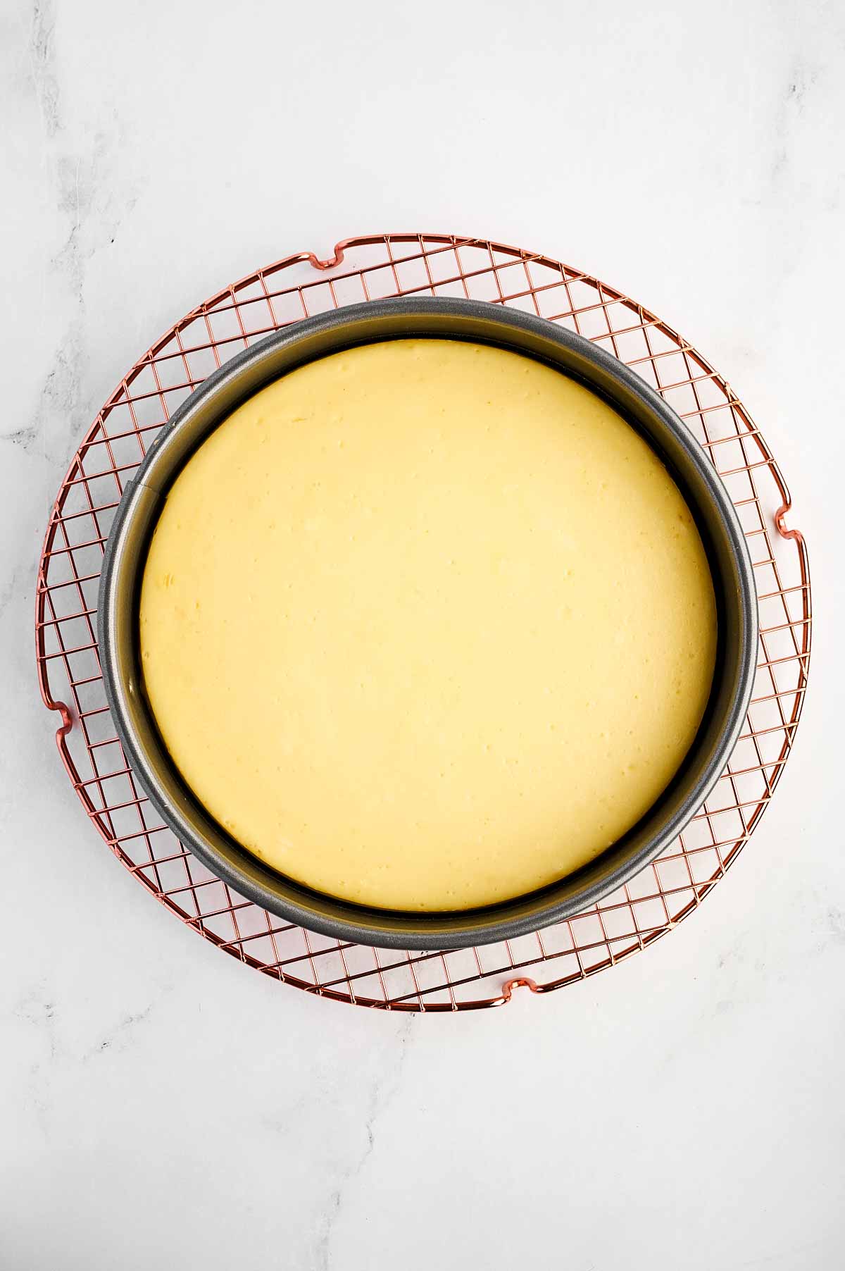 overhead view of cheesecake on a wire rack