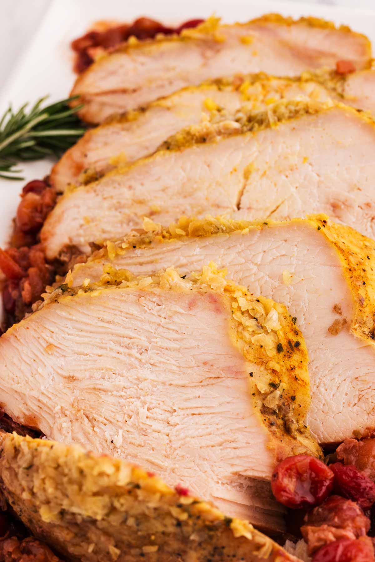 close up view of sliced turkey breast