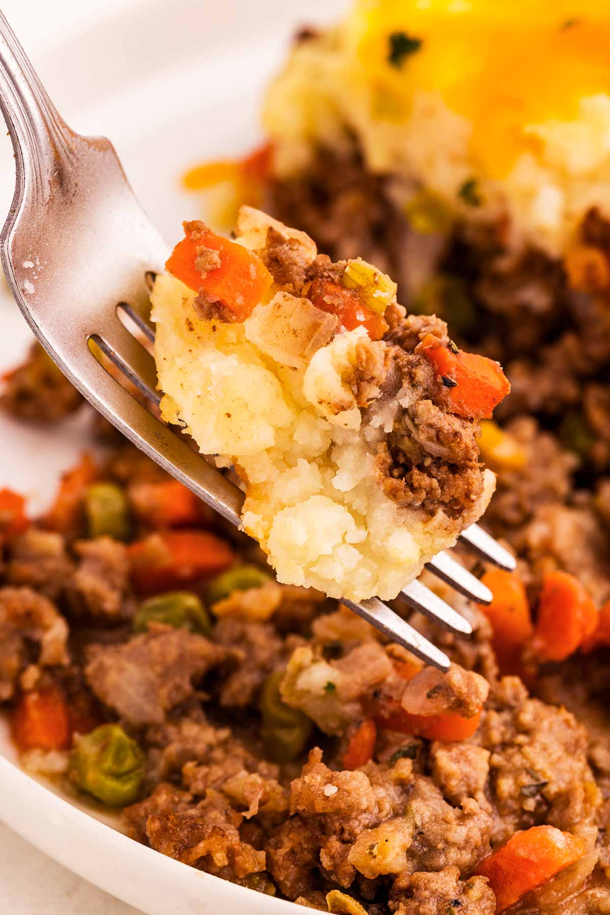 close up view of shepherds pie on fork