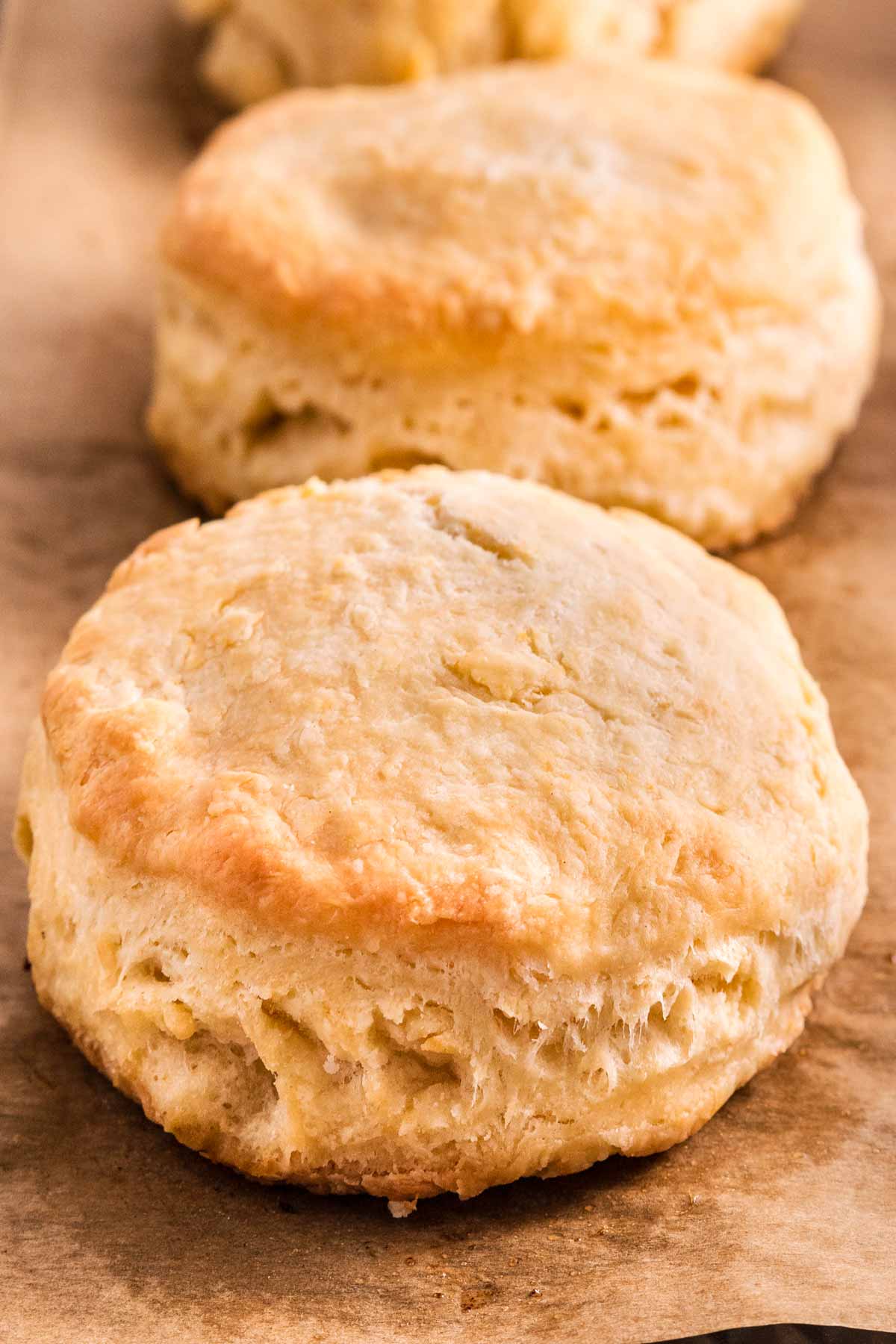 overhead frontal view of biscuits sitting on lined baking sheet