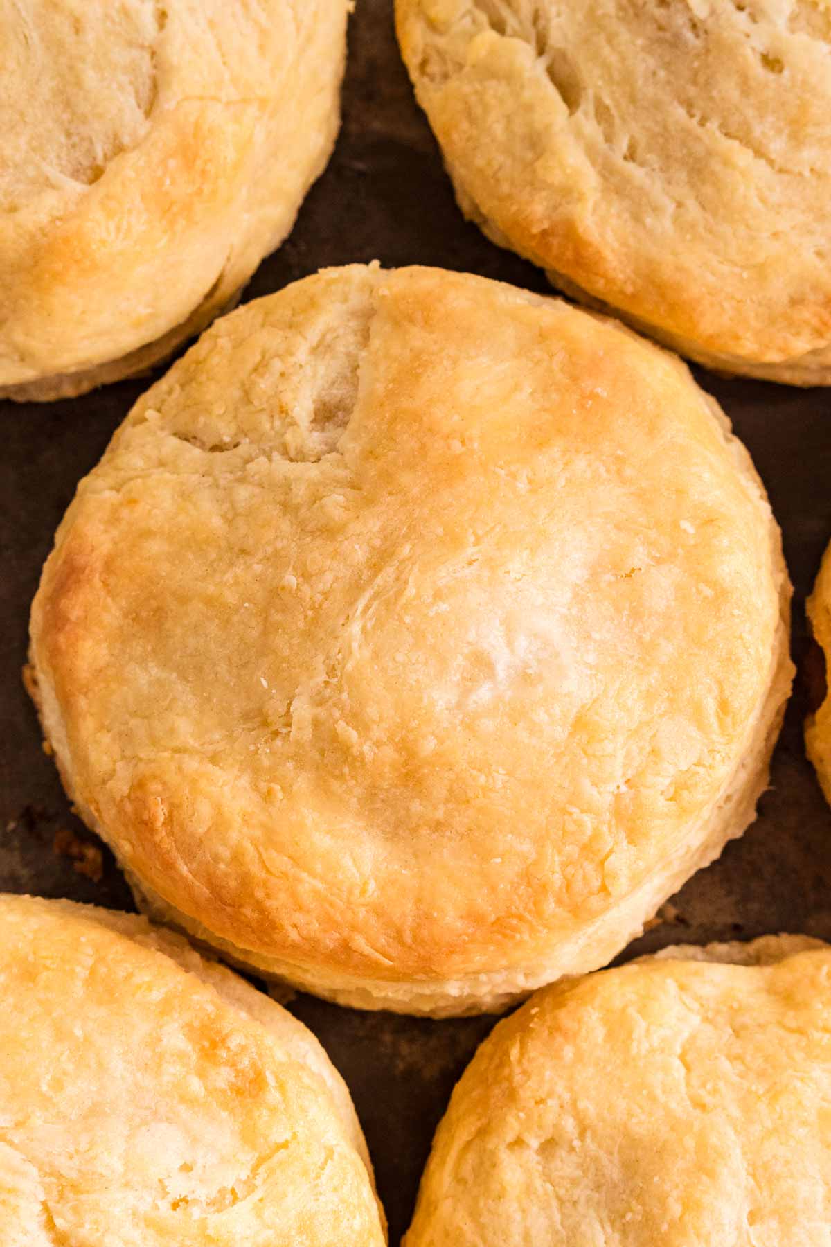 overhead view of baked biscuits