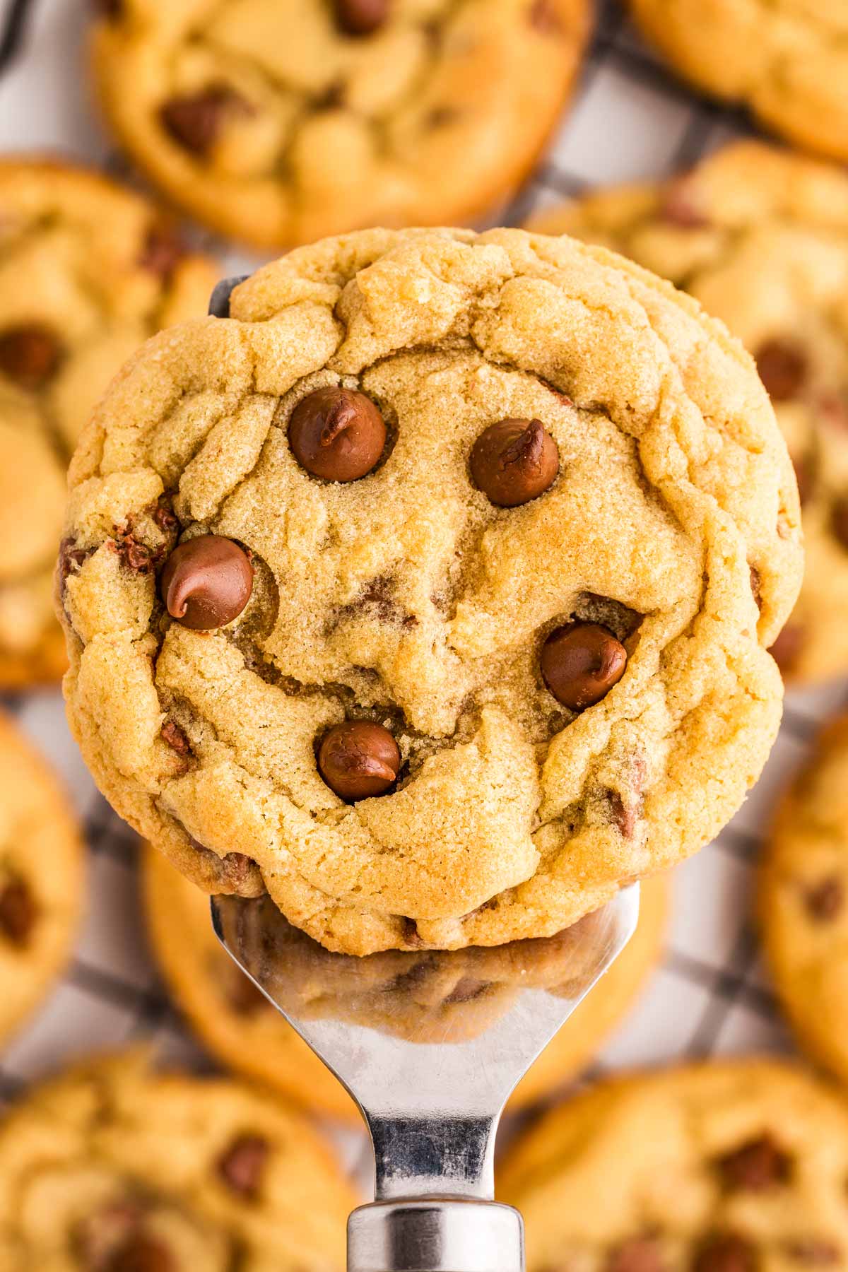 overhead view of chocolate chip cookie on spatula