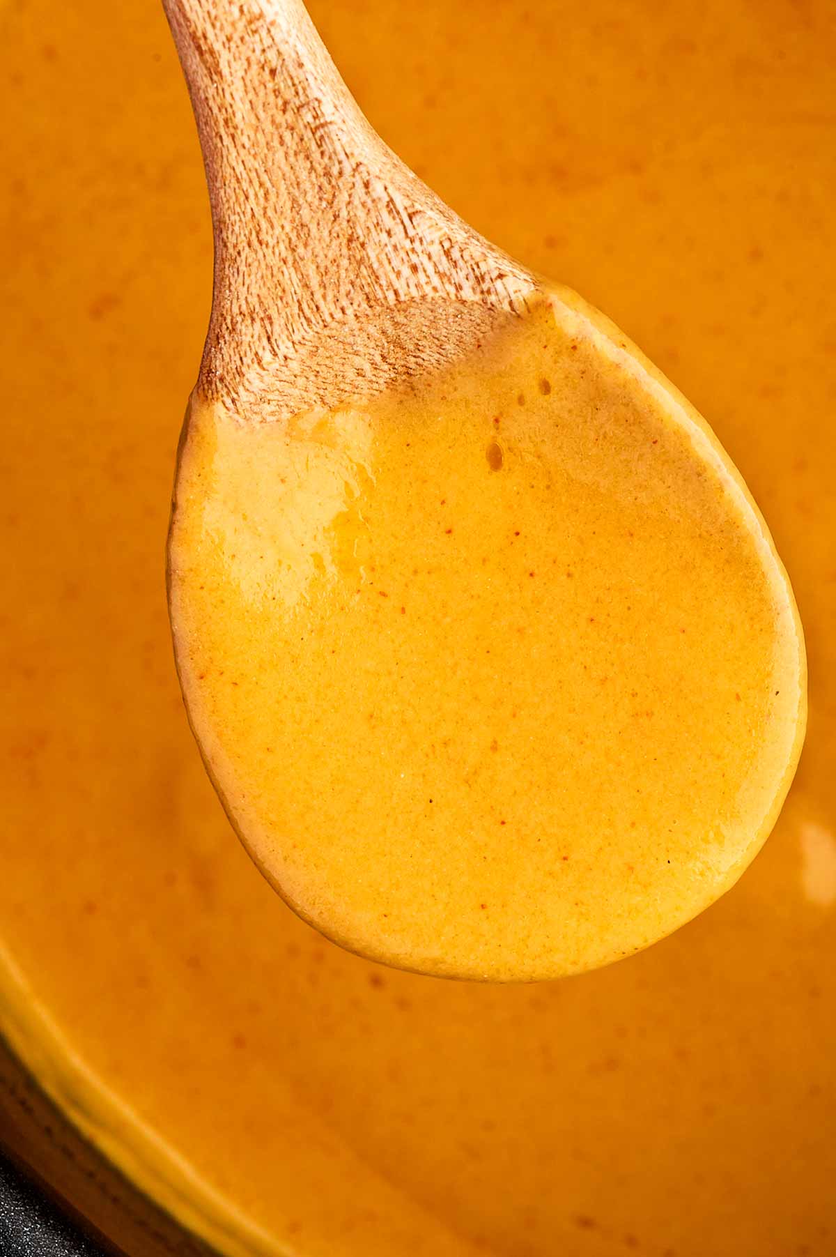 close-up of spoon lifting smooth beer cheese dip from pan