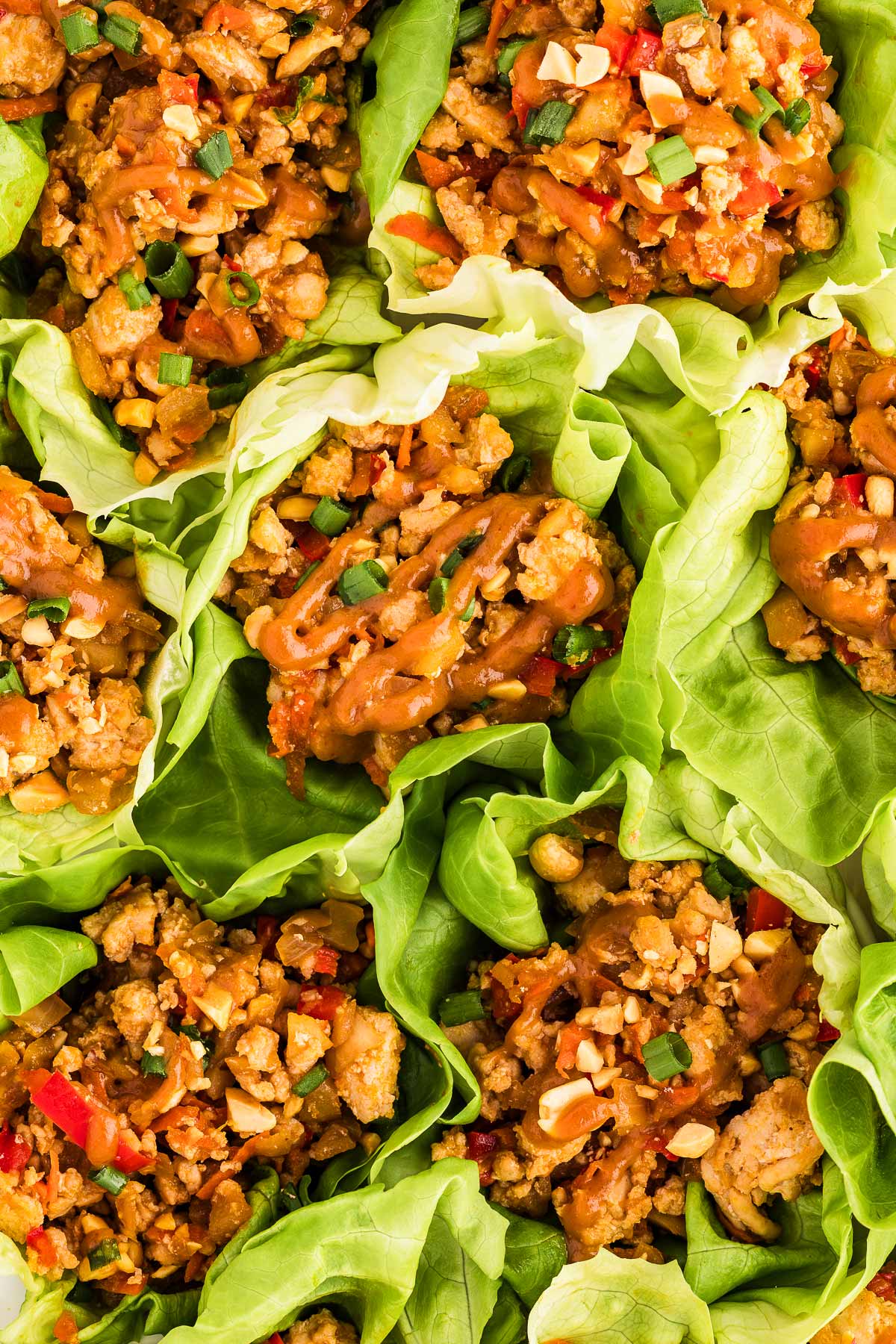 overhead close up view of chicken lettuce wraps