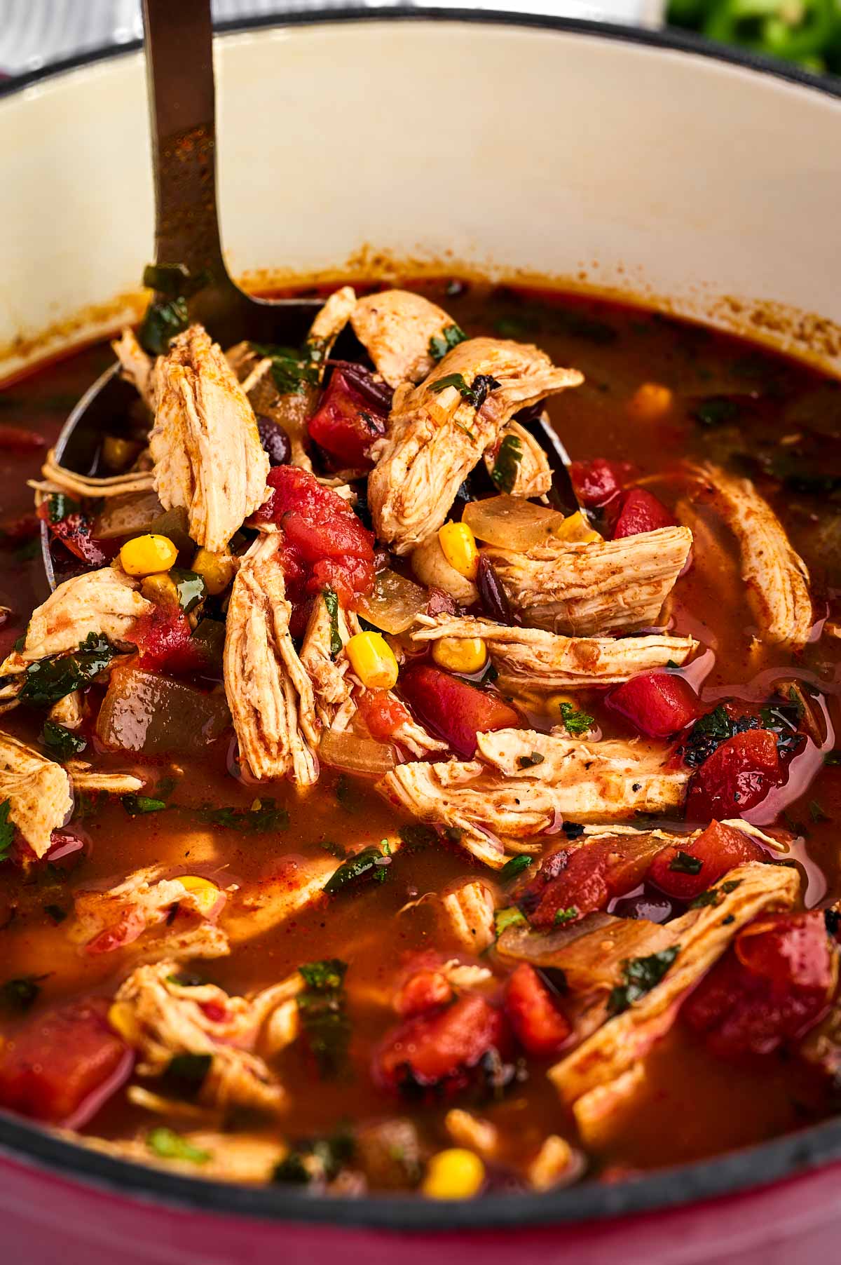 frontal view of ladle scooping up chicken tortilla soup from pot