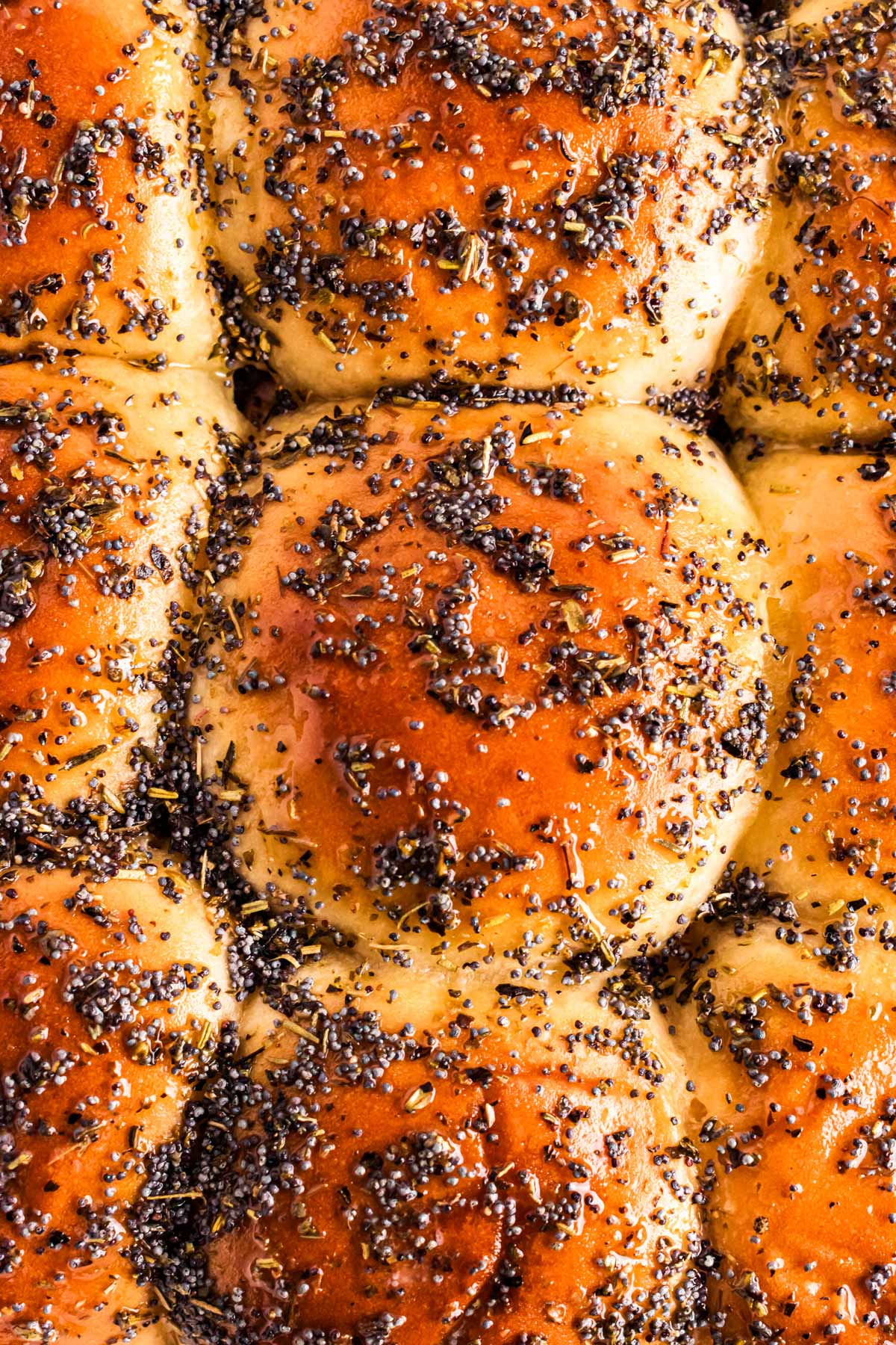 overhead close up view of garlic herb ham sliders