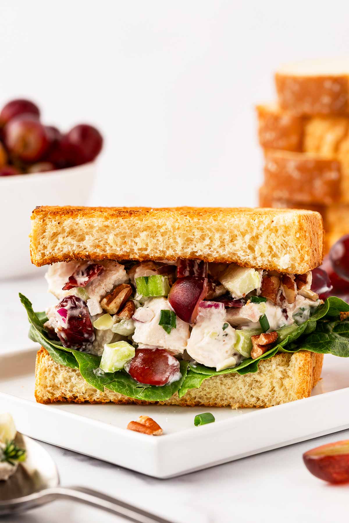 frontal view of chicken salad sandwich