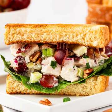 frontal view of chicken salad sandwich