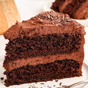 frontal view of chocolate cake slice on plate