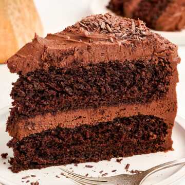 frontal view of chocolate cake slice on plate