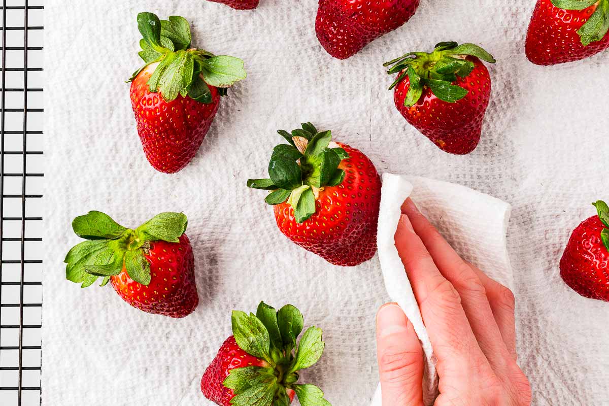 overhead view of female hand drying strawberries with paper towels