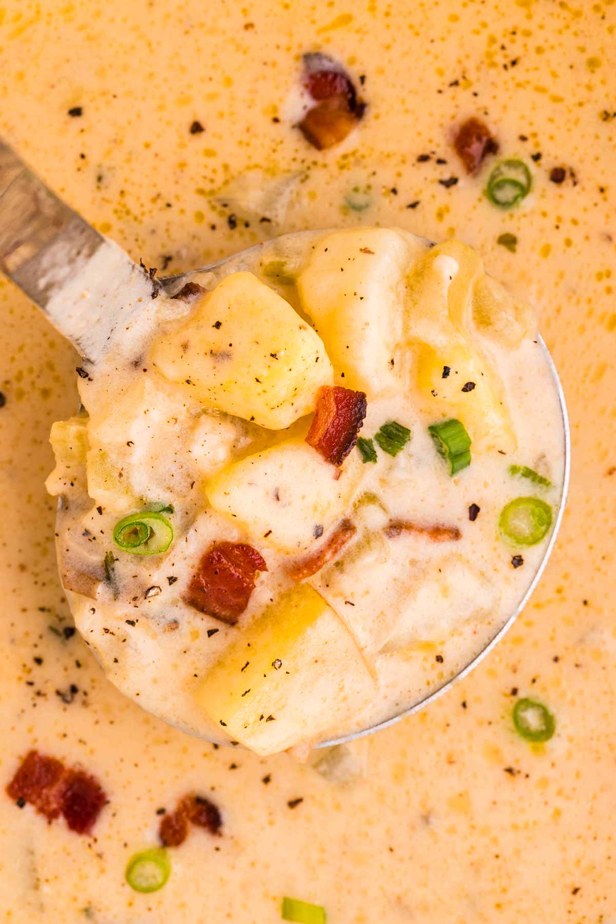 overhead close up view of potato soup on ladle