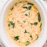 overhead view of chicken gnocchi soup in white crockpot