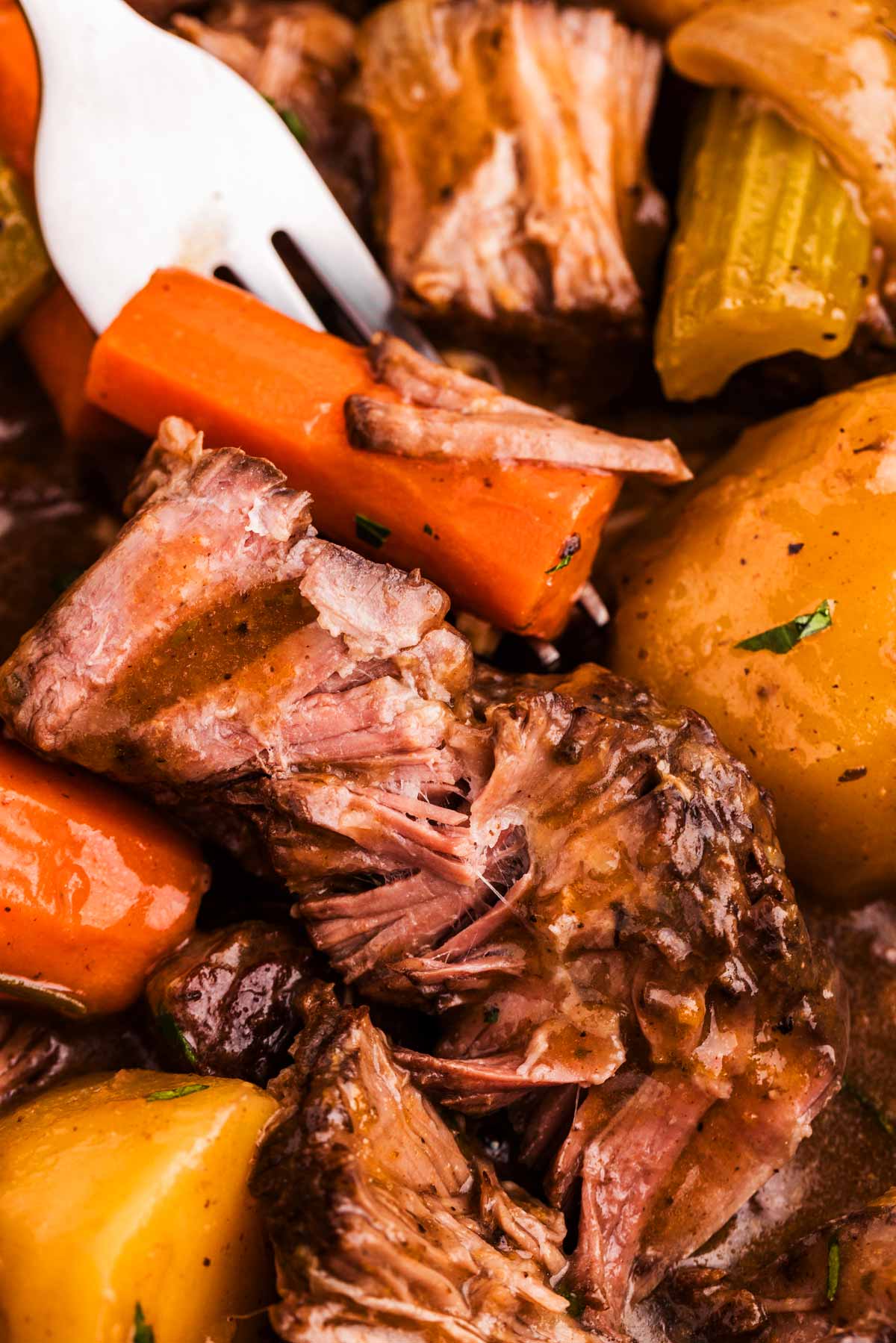 frontal close up view of pot roast