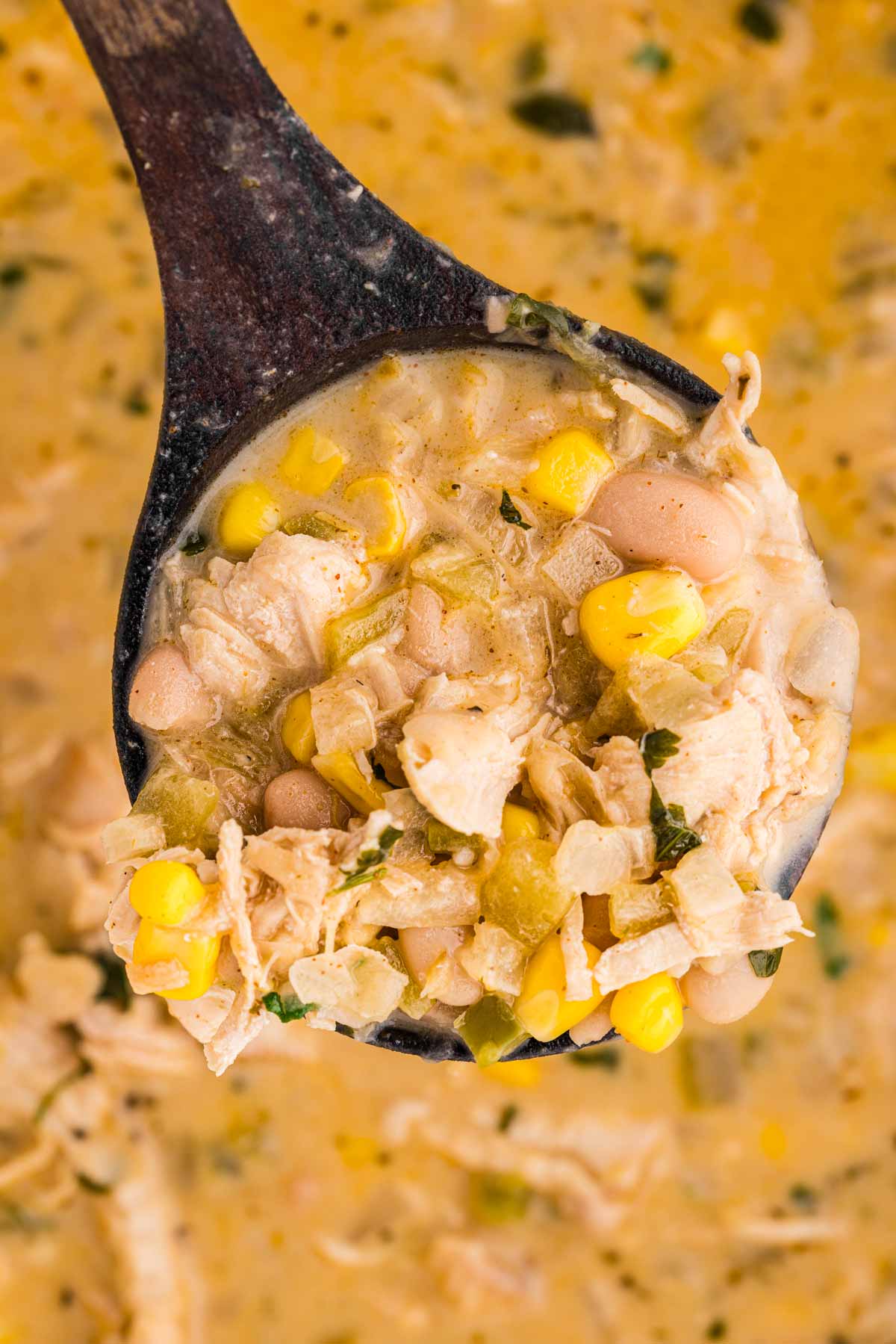 close up view of white chicken chili on ladle