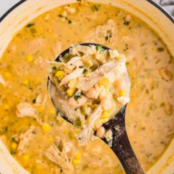 overhead view of white chicken chilli with ladle over pot