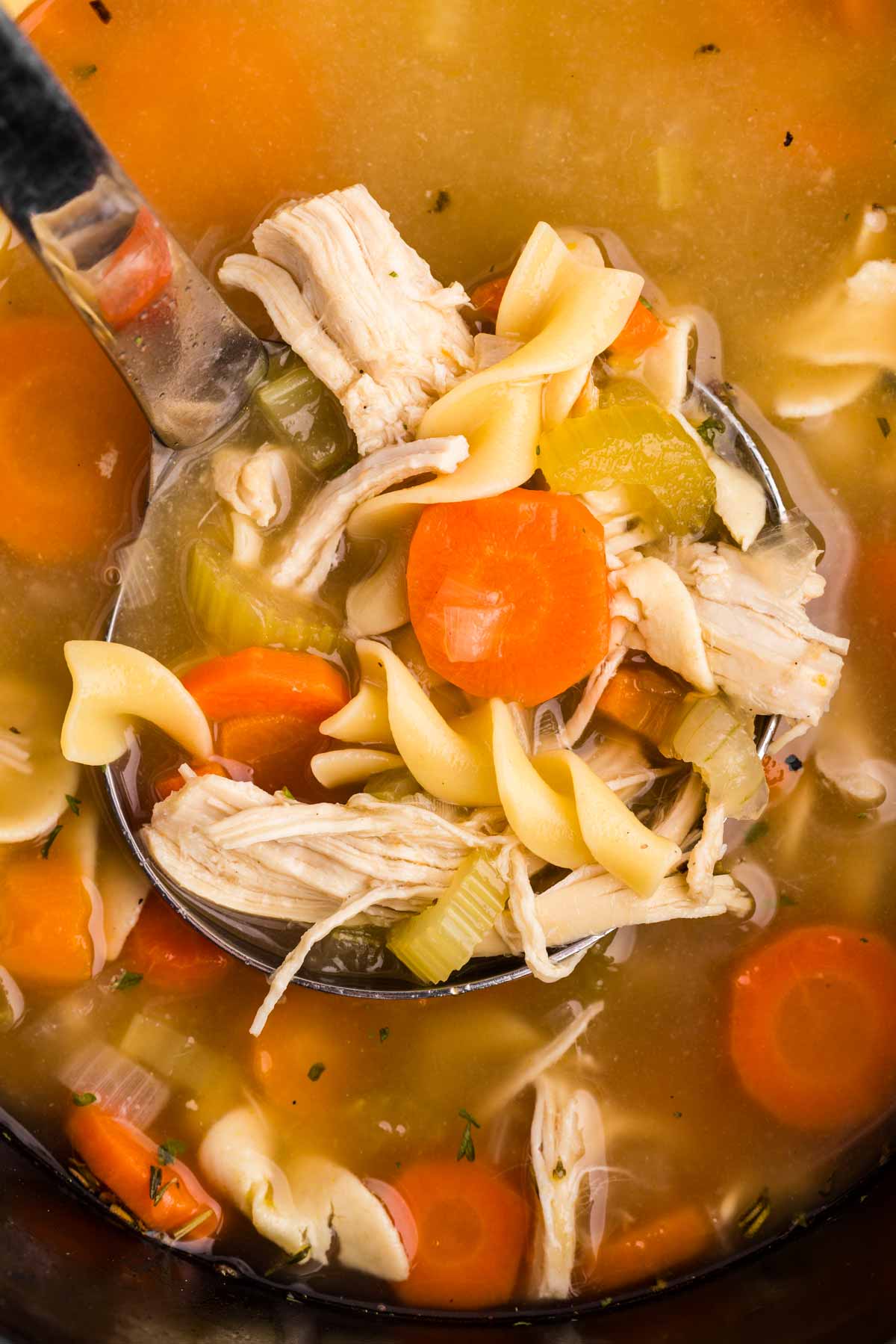 close up view of chicken noodle soup on ladle