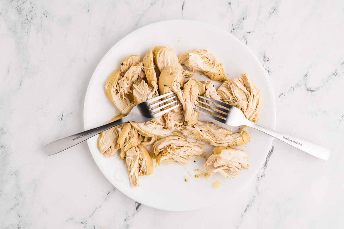 overhead view of shredded cooked chicken breast on white plate