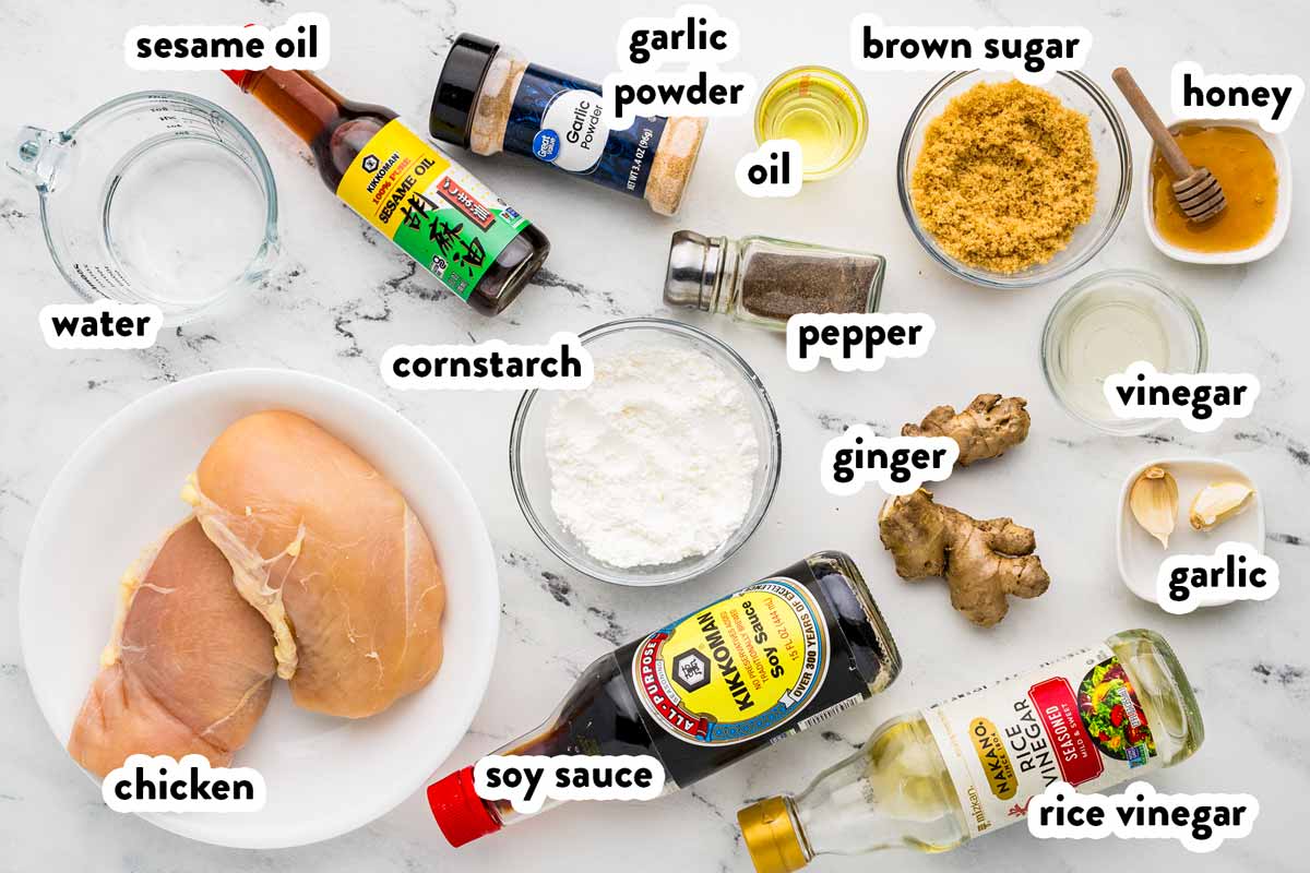 overhead view of ingredients to make teriyaki chicken with text labels