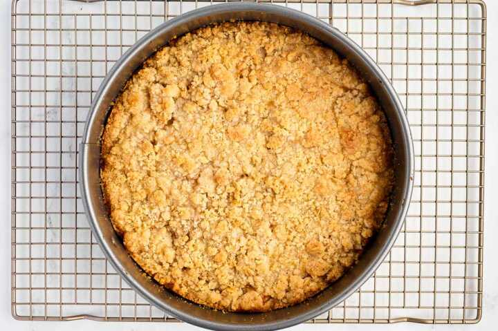 overhead view of streusel topped apple cake after baking in springform pan