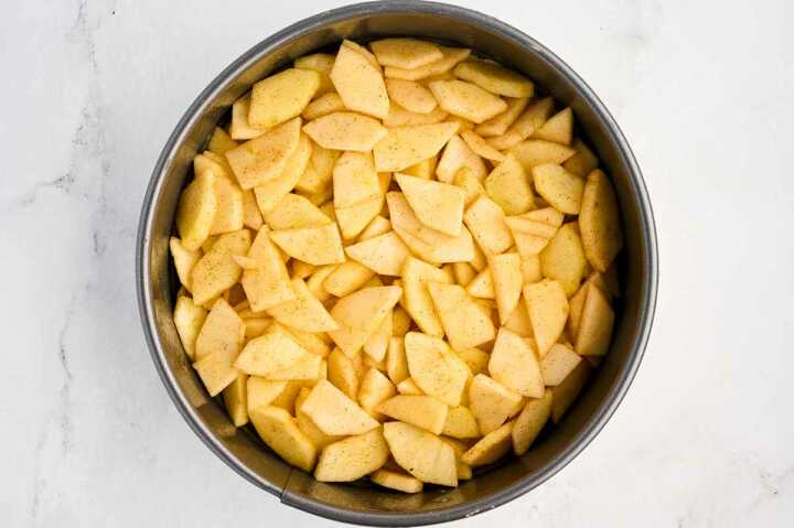 overhead view of sliced apples in springform pan