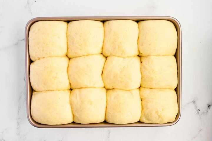 shaped potato rolls in pan after second rise